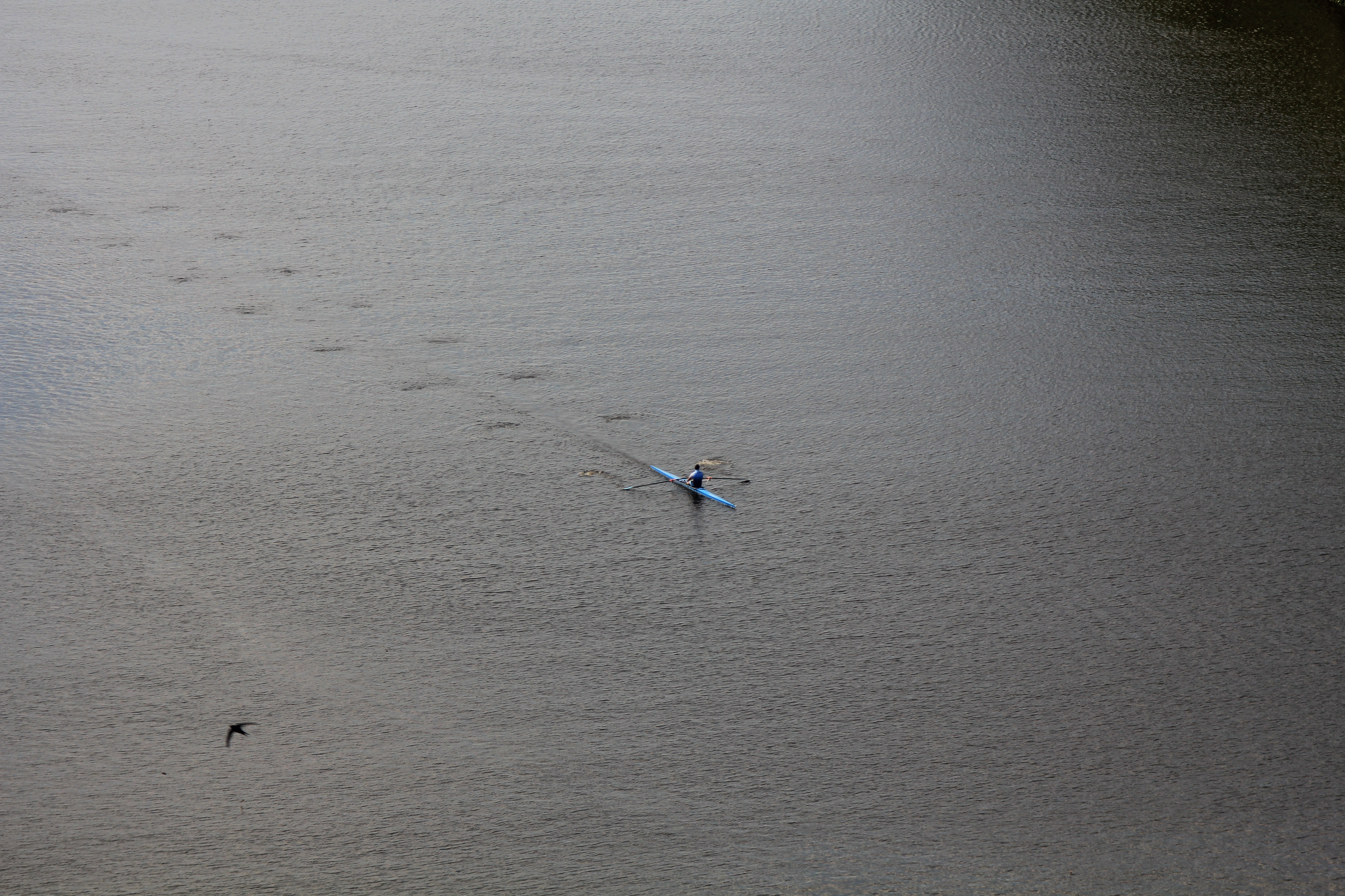 Man kayaking solo in Praha
