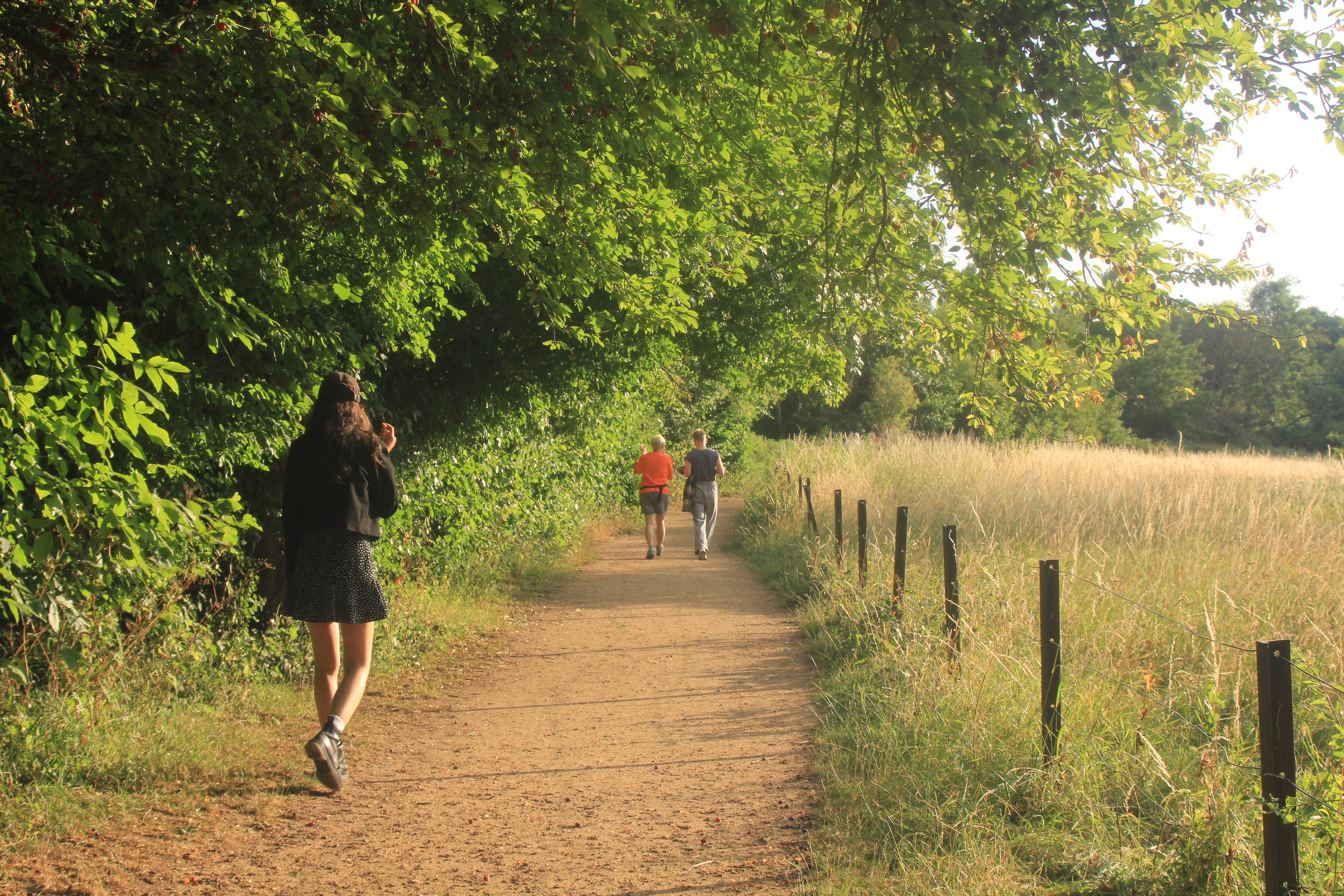 Splendid sun of Marlow